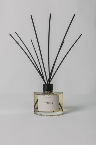 Natuurlijke Geurstokjes Cybele - Sinaasappel Gember 200ML