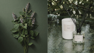 Giftsets met natuurlijke producten: duurzaam & luxe 2026