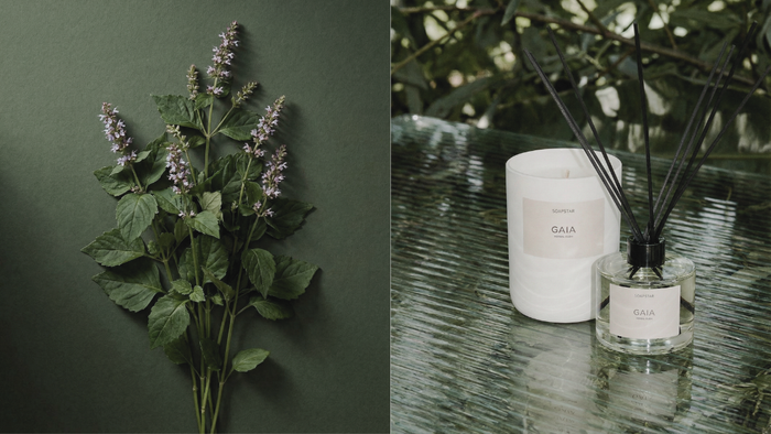 Giftsets met natuurlijke producten: duurzaam & luxe 2026
