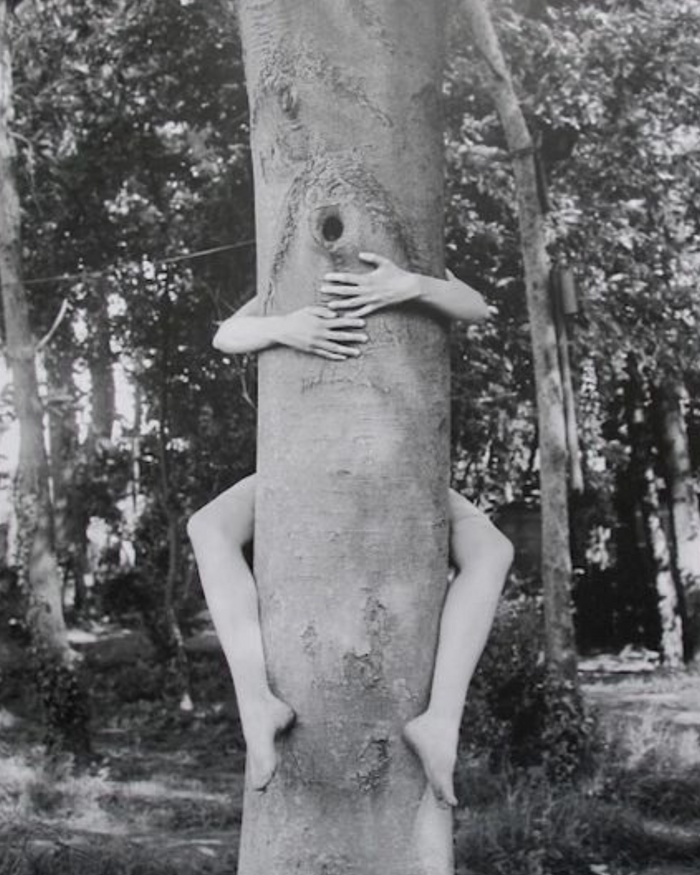 Image of arms and legs hugging a tree